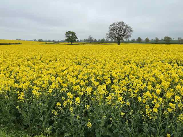 image from AGM on 30 June 2026
