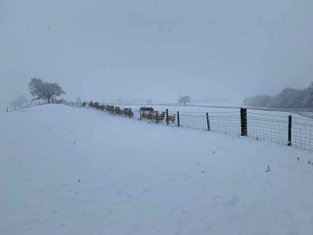 image from Minutes from meeting on 9 December 2025